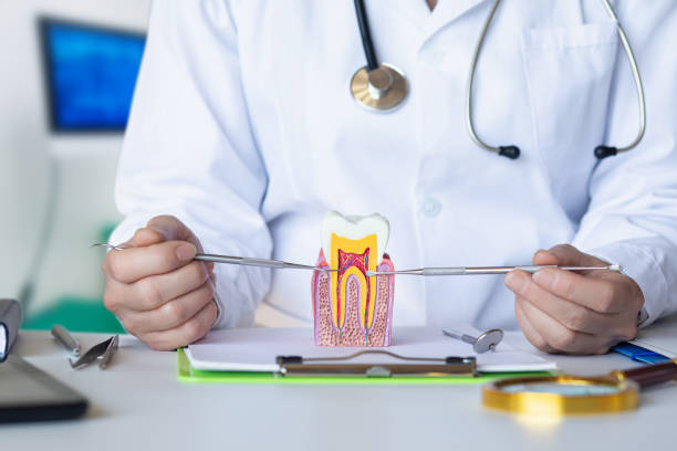 Best Weekend Emergency Dentist in Hanley Hills, MO